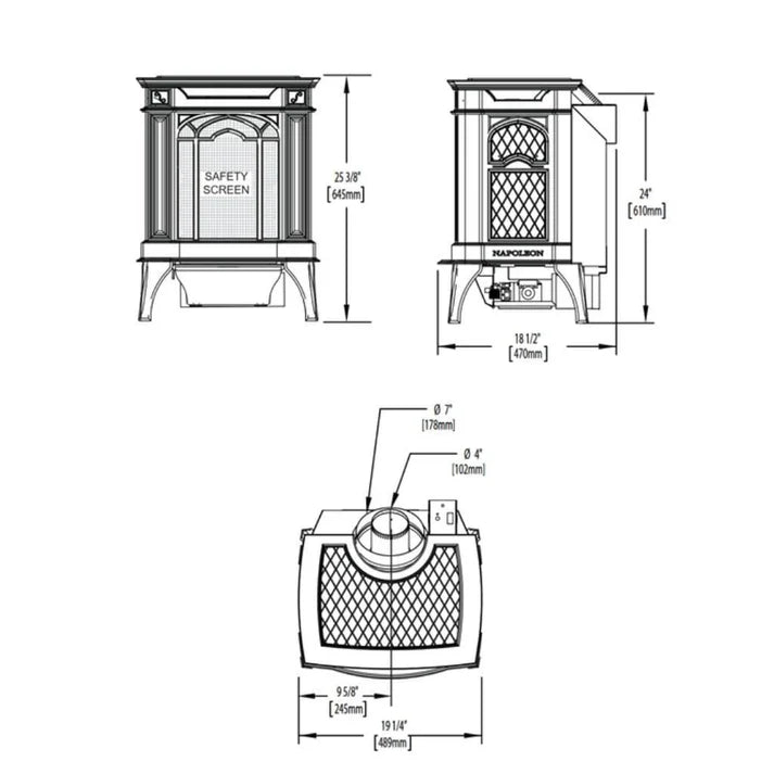 Napoleon Arlington 19" Direct Vent Iron Gas Stove With Electronic Ignition