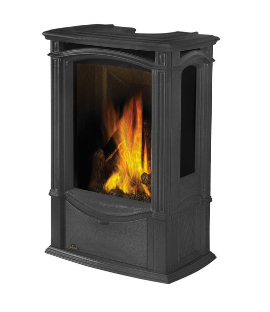 Napoleon Castlemore Direct Vent Cast Iron 24" Gas Stove