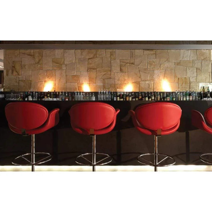 EcoSmart Fire BK5 Stainless Steel Ethanol 16" Fireplace Burner