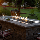 Empire Carol Rose Coastal 48" Stainless Steel Outdoor Linear Gas Fire Pit