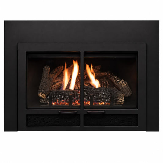 Empire DFD20DBL Black Transom Decorative Door Front for 28" Small Innsbrook Direct Vent Fireplace Insert