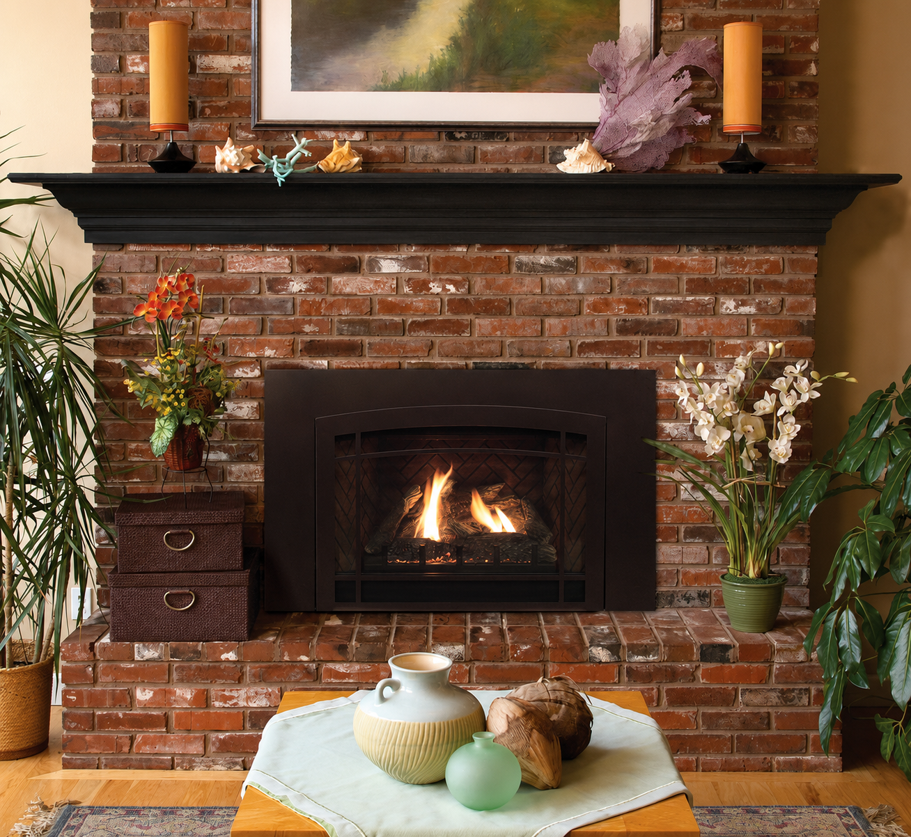 Empire Innsbrook 20" Small Direct Vent Clean Face Gas Fireplace Insert