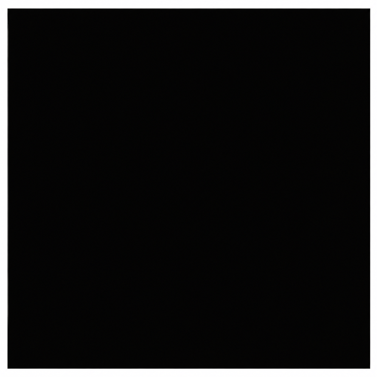 Empire LND46LKR Black Porcelain Reflective Liner for Loft DVL46 Direct Vent Fireplace