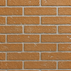 Empire VBP32D2F Traditional Brick Ceramic Fiber Liner for 32" Breckenridge Vent Free Premium Firebox