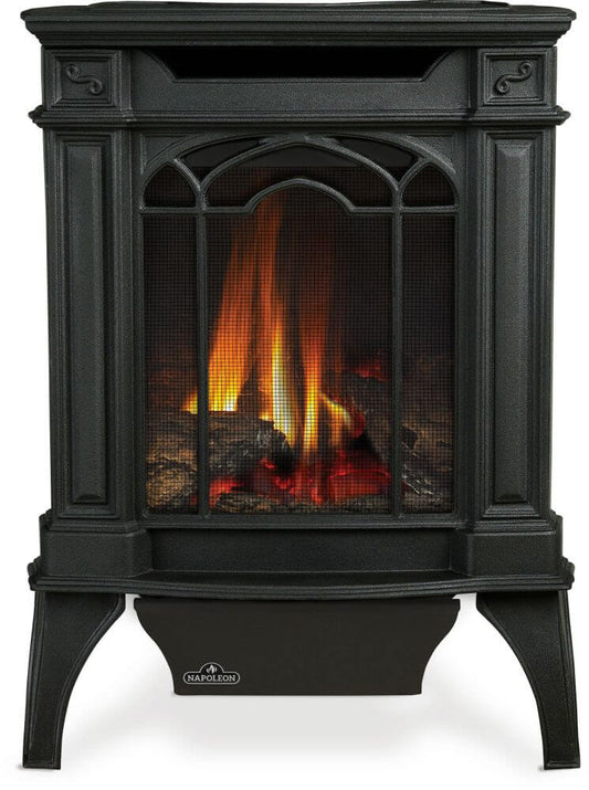 Napoleon Arlington 19" Direct Vent Iron Gas Stove With Electronic Ignition