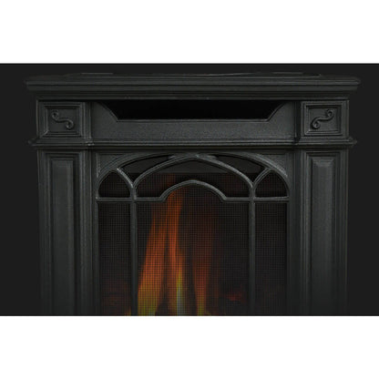 Napoleon Arlington 19" Direct Vent Iron Gas Stove With Electronic Ignition