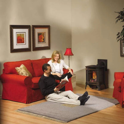 Napoleon Arlington 19" Direct Vent Iron Gas Stove With Electronic Ignition