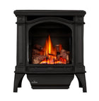 Napoleon Bayfield 24" Cast Iron Direct Vent Gas Stove GDS25NA-1