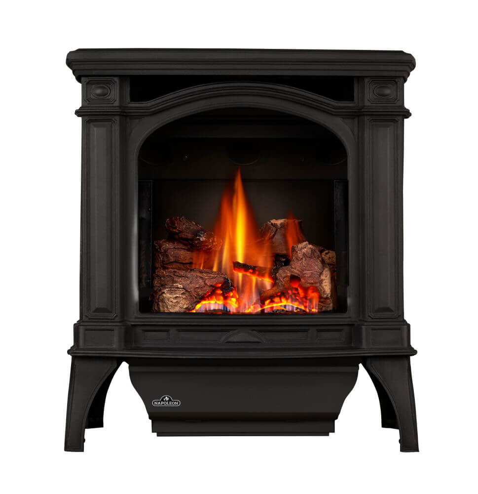 Napoleon Bayfield 24" Cast Iron Direct Vent Gas Stove GDS25NA-1