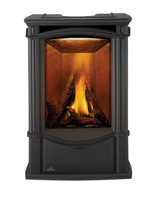 Napoleon Castlemore Direct Vent Cast Iron 24" Gas Stove