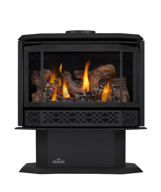 Napoleon Havelock Direct Vent 28" Gas Stove