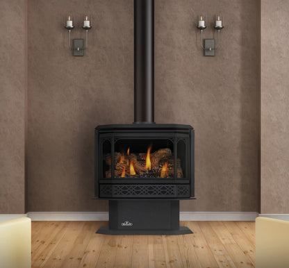 Napoleon Havelock Direct Vent 28" Gas Stove