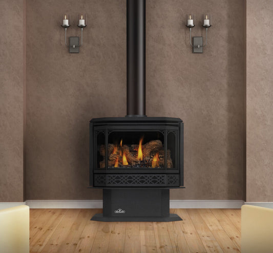 Napoleon Havelock Direct Vent 28" Gas Stove