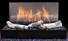 Hargrove ESCS Element Series Vent-Free Burner System With Aspen Twig Kit