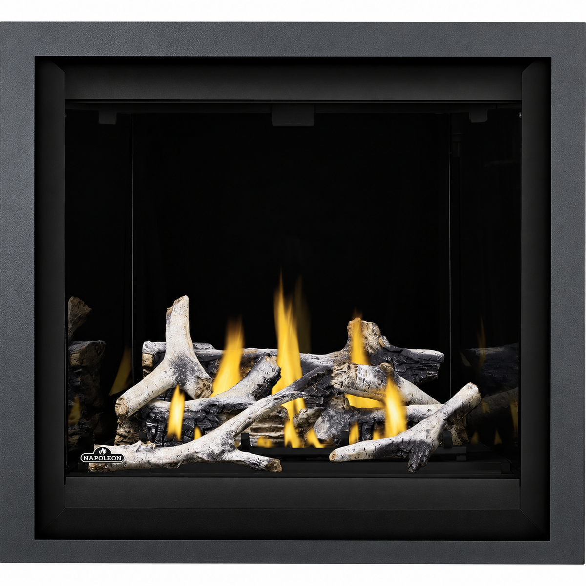 Napoleon Altitude X 36" Direct Vent Gas Fireplace A36X with Electronic Ignition