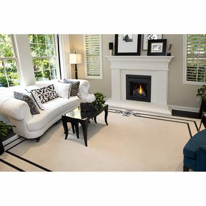 Napoleon Ascent 30" Direct Vent Gas Fireplace B30NTR with Electronic Ignition