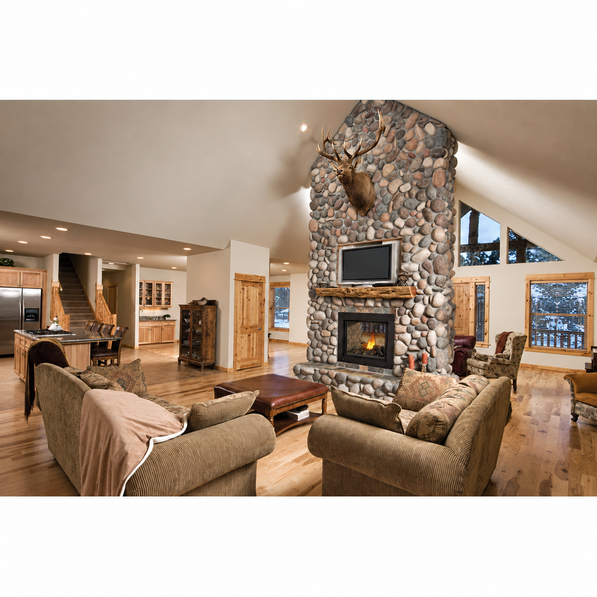 Napoleon Ascent Multi-View 43" Direct Vent See-Through Gas Fireplace with Electronic Ignition