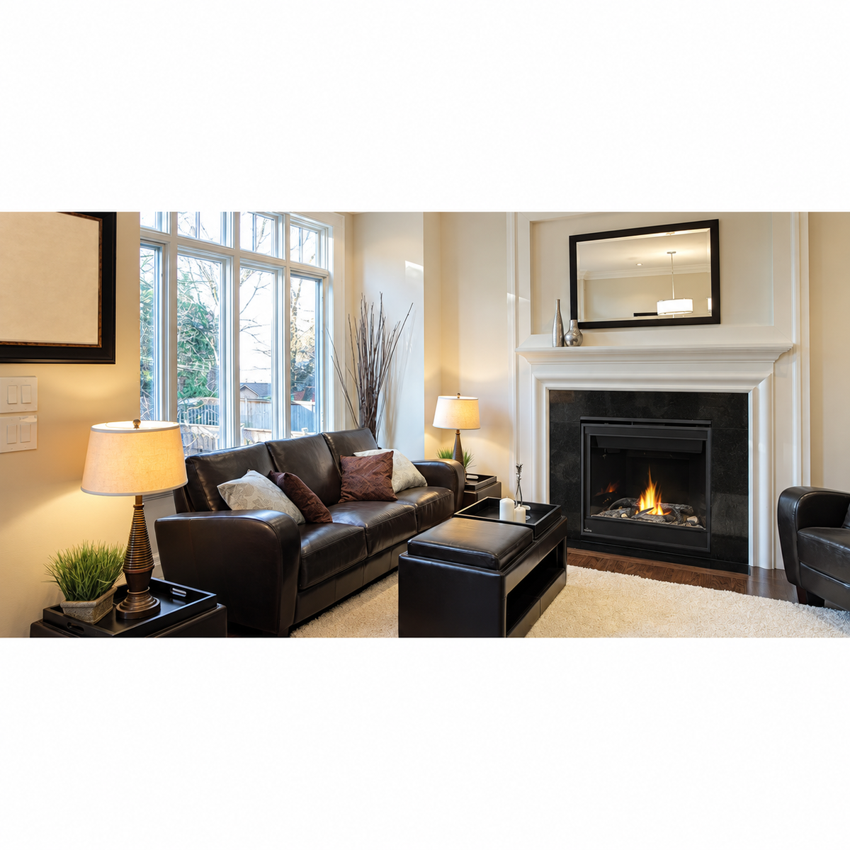 Napoleon B42 Ascent 42" Direct Vent Gas Fireplace 22,000 BTU