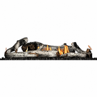 Napoleon BLKBLP42 Standard Birch Log Set for 42" Direct Vent Ascent Linear Premium Fireplace