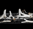 Napoleon BLKEX36 High Definition Birch Logs for 36" Elevation X Direct Vent Fireplace