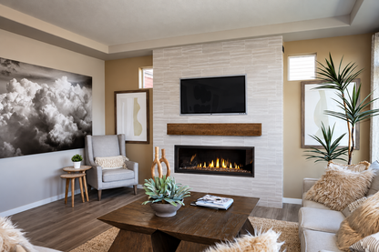 Napoleon BLX56 Ascent Linear Premium 56" Built-in Direct Vent Gas Fireplace