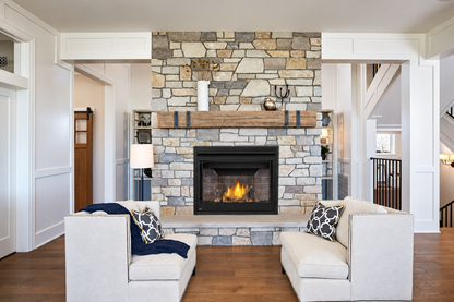 Napoleon BX42 Ascent 42" Direct Vent Gas Fireplace with Electronic Ignition