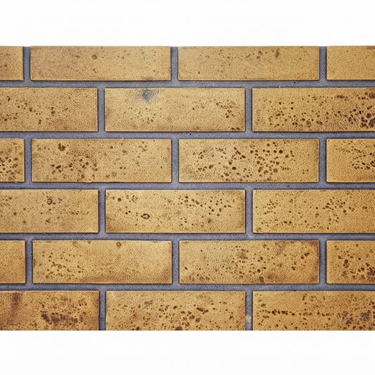Napoleon DBPX42SS Sandstone Standard Brick Panel for 42" Ascent X Direct Vent Fireplace