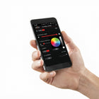 Napoleon EFCP EFC eFIRE Bluetooth Advanced Remote Accessory