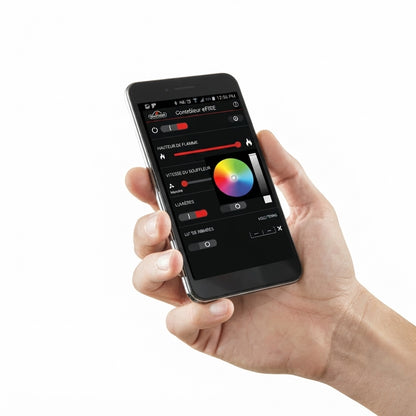 Napoleon EFCP EFC eFIRE Bluetooth Advanced Remote Accessory