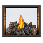 Napoleon High Definition HD81 Direct Vent See Through Gas Fireplace with Electronic Ignition