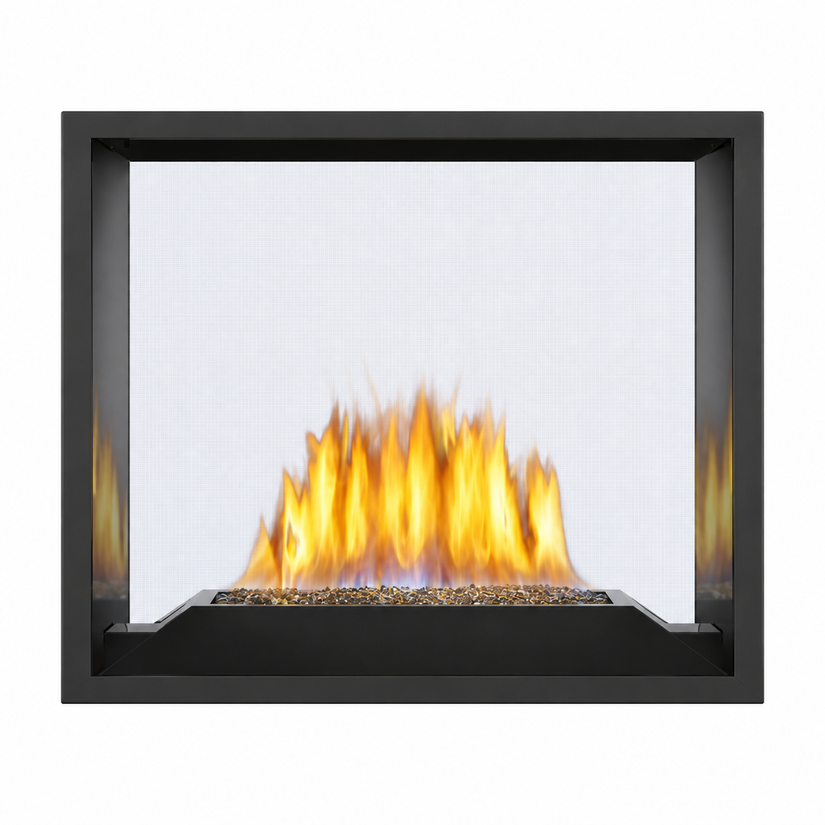 Napoleon High Definition HD81 Direct Vent See Through Gas Fireplace with Electronic Ignition