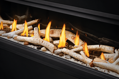 Napoleon Luxuria 74" See Through Direct Vent Linear Gas Fireplace with Electronic Ignition