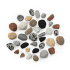 Napoleon MRKL Large Mineral Rock Kit