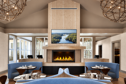Napoleon Tall Linear Vector TLV50 Single Sided 50" Direct Vent Linear Gas Fireplace