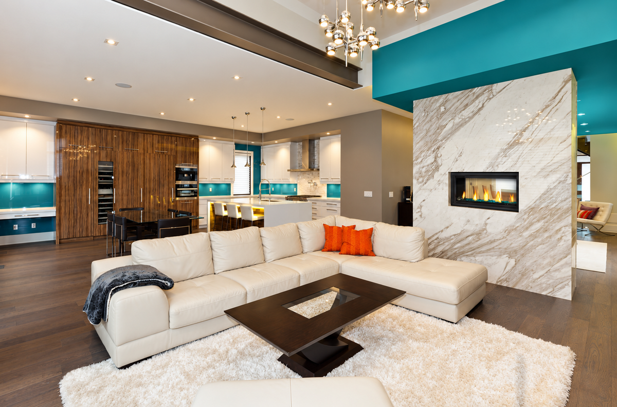 Napoleon Vector 38" See Through Direct Vent Linear Gas Fireplace with Electronic Ignition