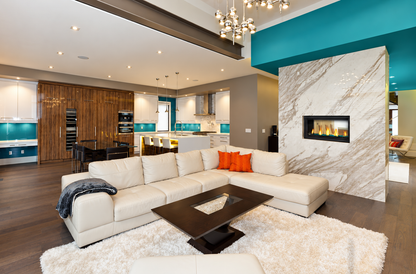 Napoleon Vector 38" See Through Direct Vent Linear Gas Fireplace with Electronic Ignition