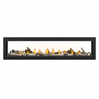 Napoleon Vector 74" See Through Direct Vent Linear Gas Fireplace with Electronic Ignition