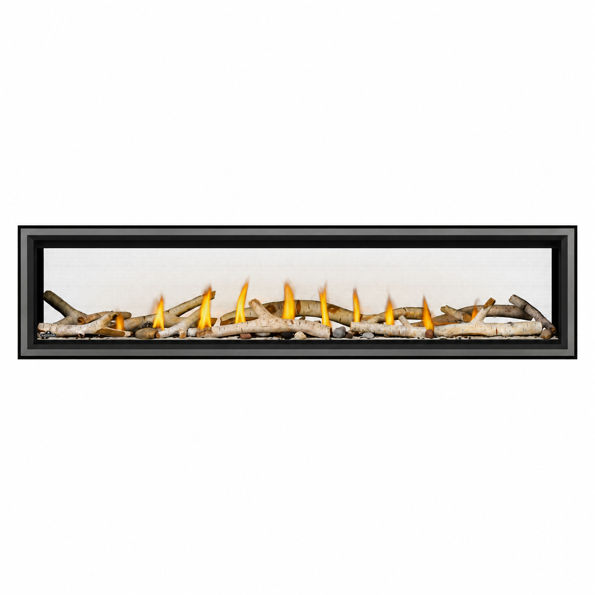 Napoleon Vector 74" See Through Direct Vent Linear Gas Fireplace with Electronic Ignition